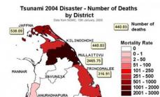 Phuket - tsunamin (2004): historia och konsekvenser Tsunamins offer